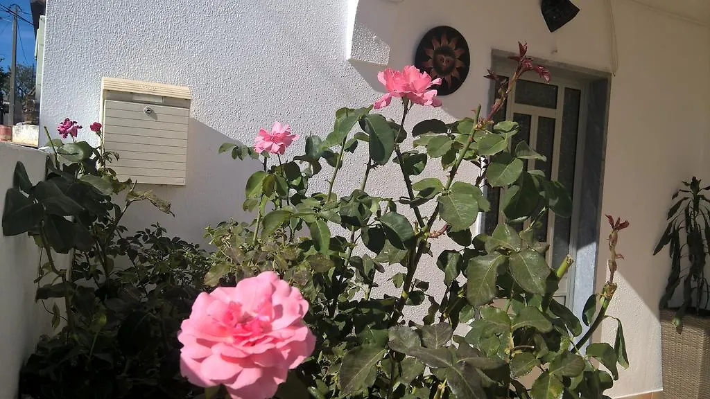 Family Guesthouse Almadena 0*,